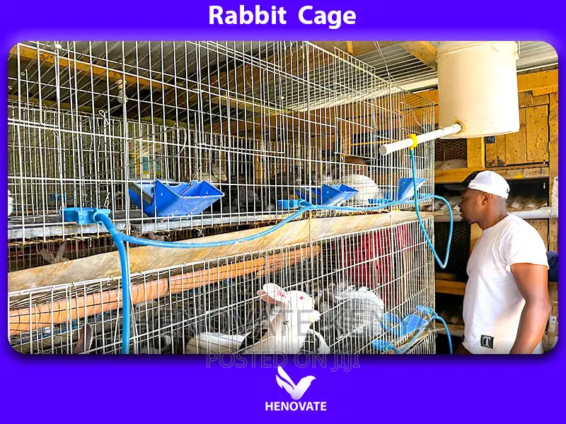 The Best Selling Rabbit Cage
