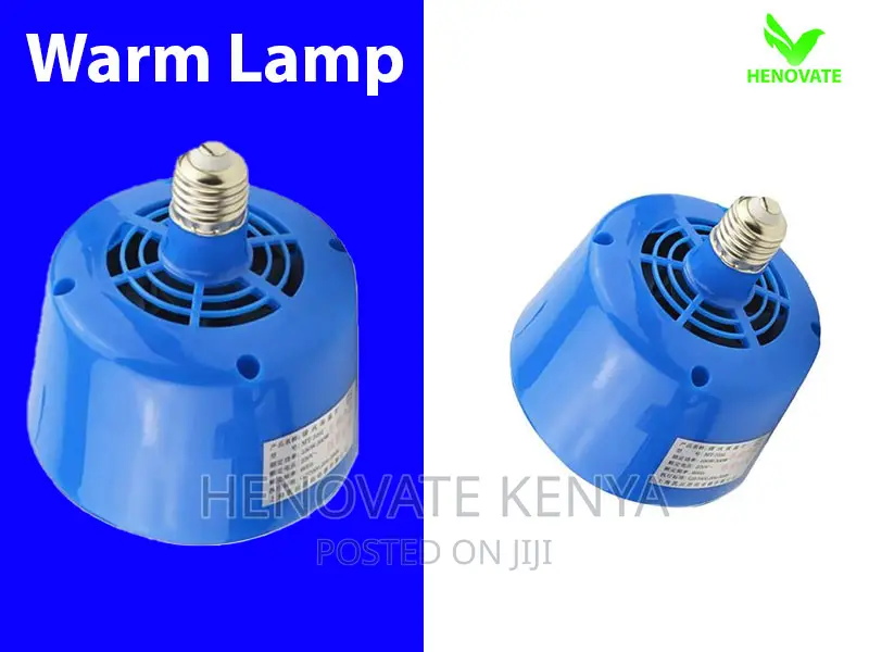 Baby Chicks Warm Lamp