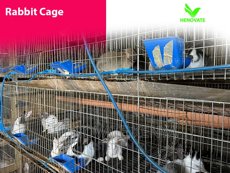 Best Indoor Rabbit Cages of 2024 (Available)
