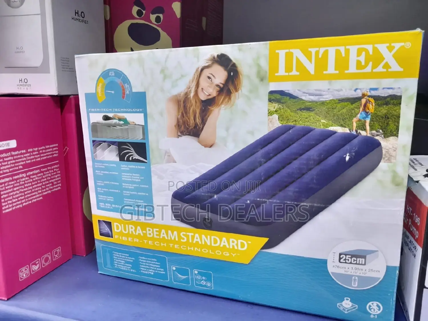 5 by 6 Intex Inflatable Mattress
