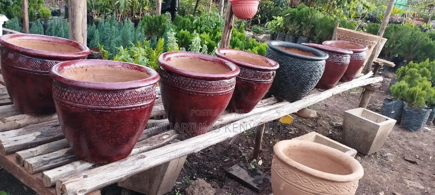 Travellers Palm Clay Flower Pots,Pots for Flowers