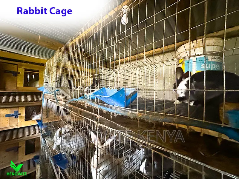 Rabbit Cages For Sale In Kenya/Simple And Easy...