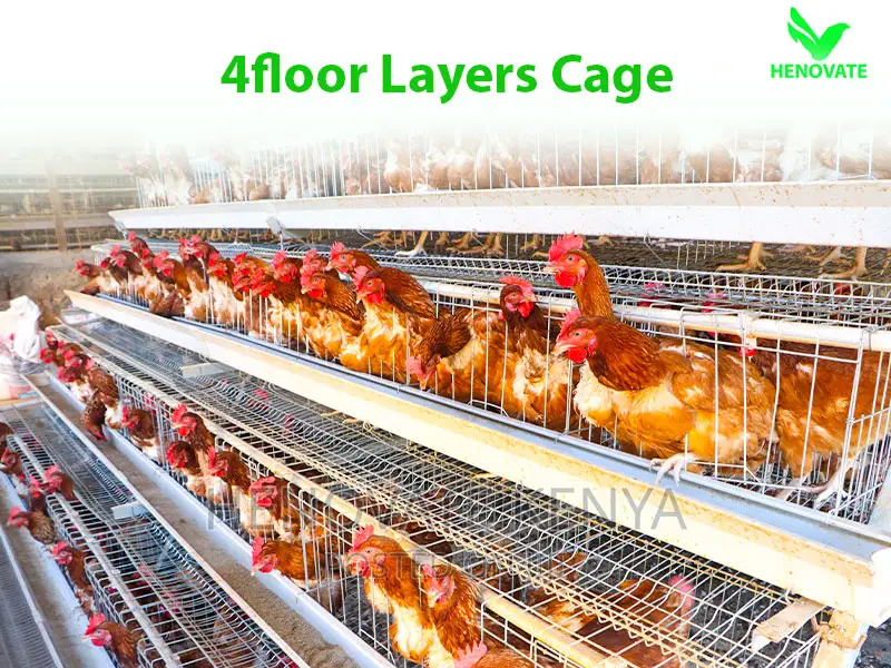 A Type, 4 Tiers, 128 Birds Chicken Cage