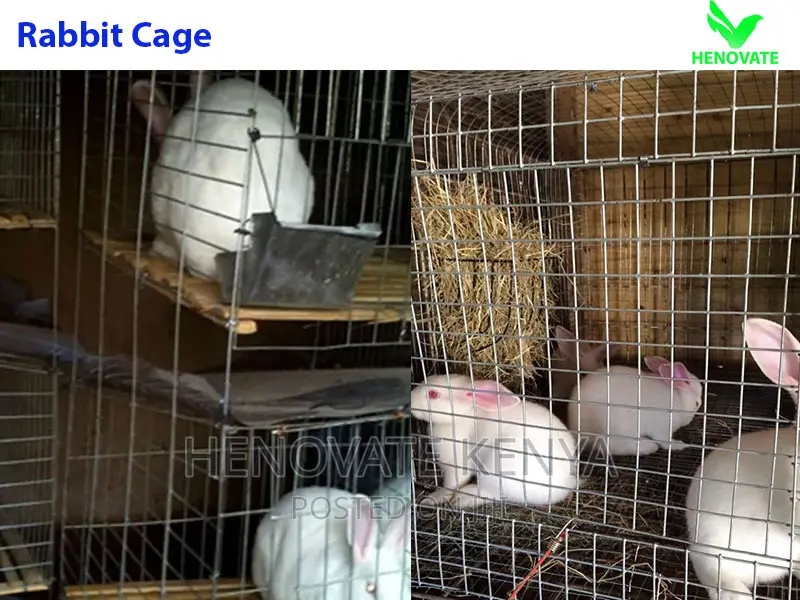Rabbit Cage Standard Trolley in Kenya