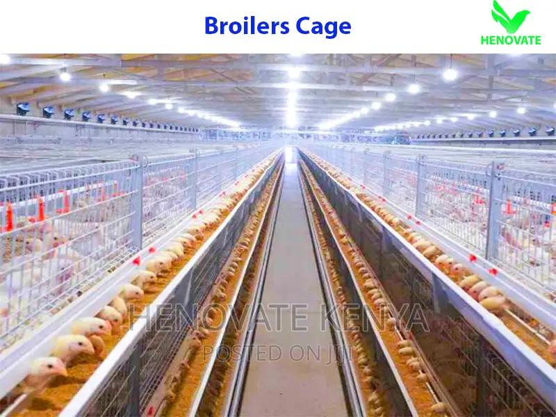 New Broiler Cage For Sale-in Kenya(Saves Space)