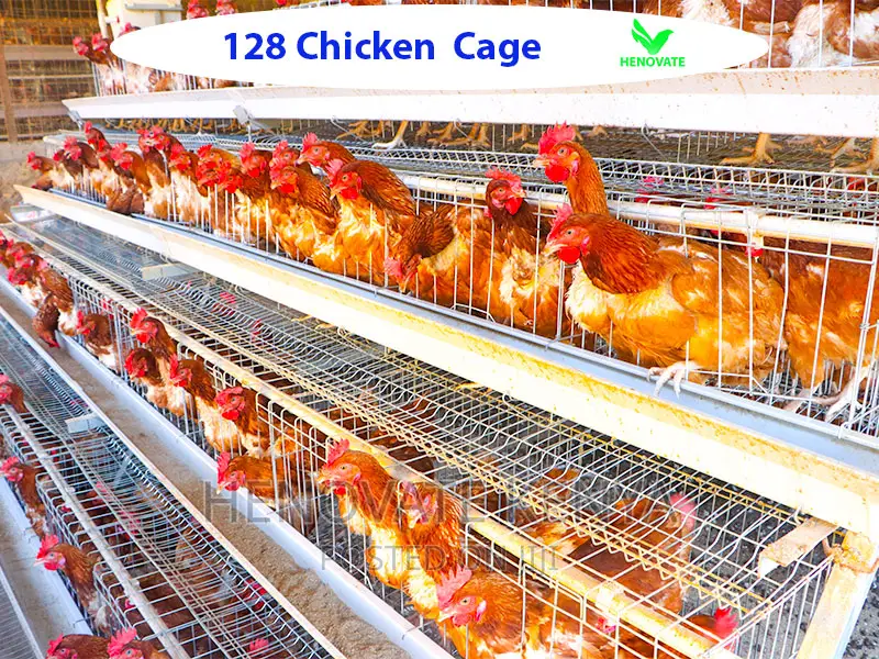128 Birds Layers Cage in Kenya