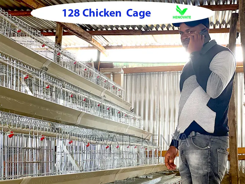 4 Tiers 128 Birds Layer Chicken Cage