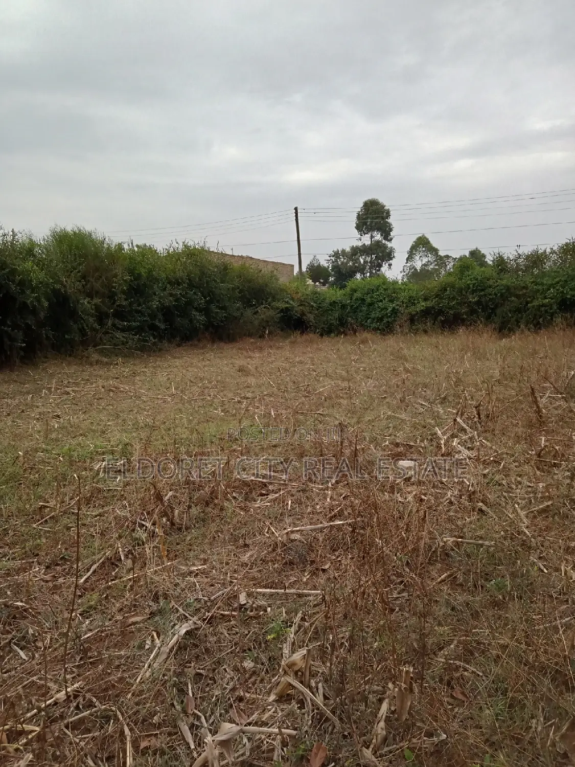 1/8 Plots Kapsoya Estate With Title