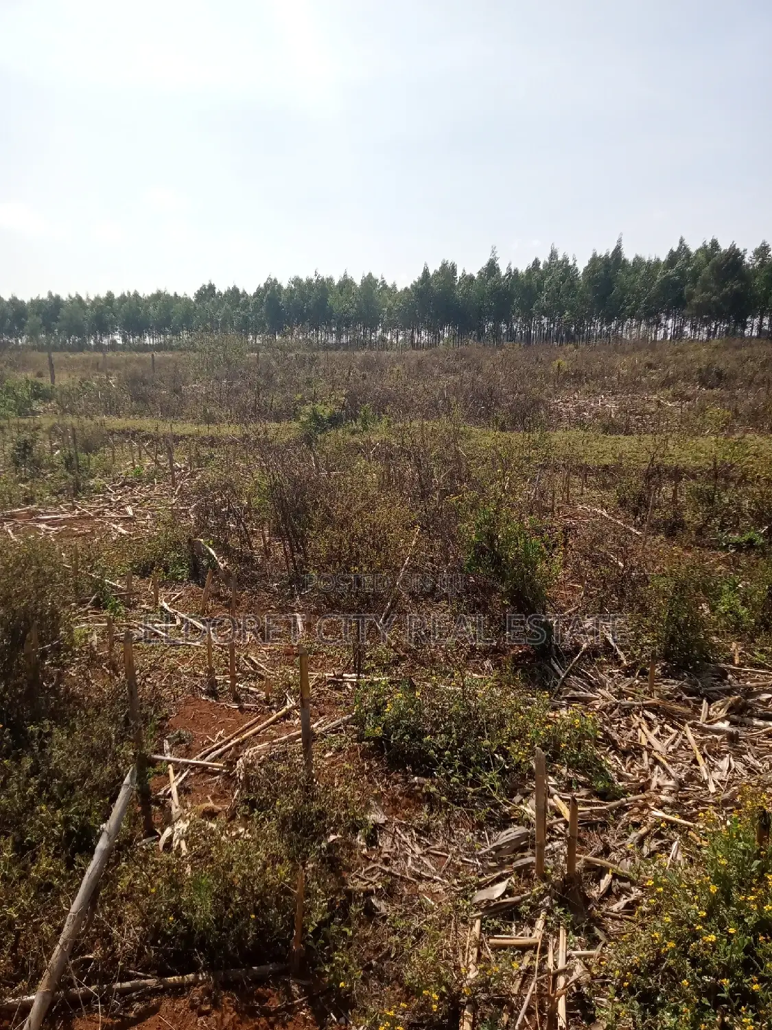 3 Acres Kaboi With Title Kiplombe Route