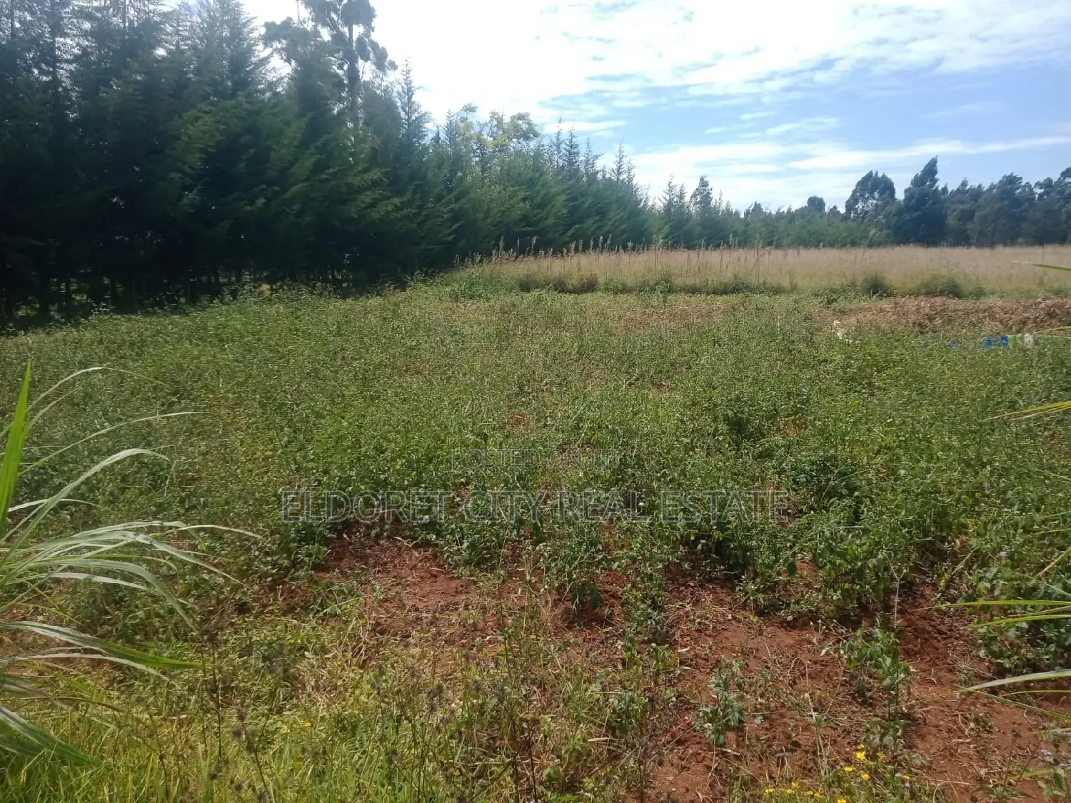 10 Acres Ngeria Route Prison With Title