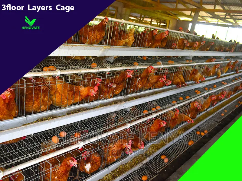 3floor Hens Layers Cage.In Kenya(Saves Space)One Year Warran