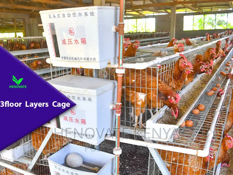 3 Floor Layer Chicken House in Nairobi