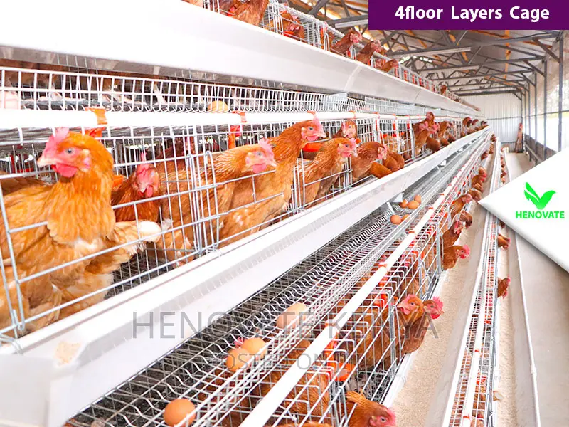 Best Quality Cages in Kenya/128 Birds