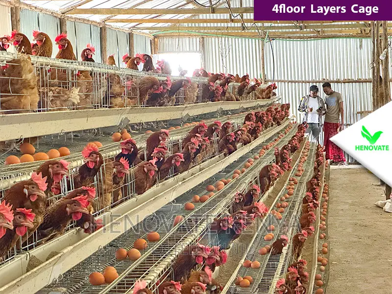 Best Quality Cages in Kenya/128 Birds