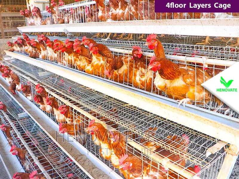 Best Quality Cages in Kenya/128 Birds