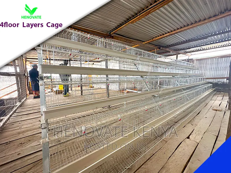 128 Birds Chicken Layers Cage in Kenya(Ruiru).