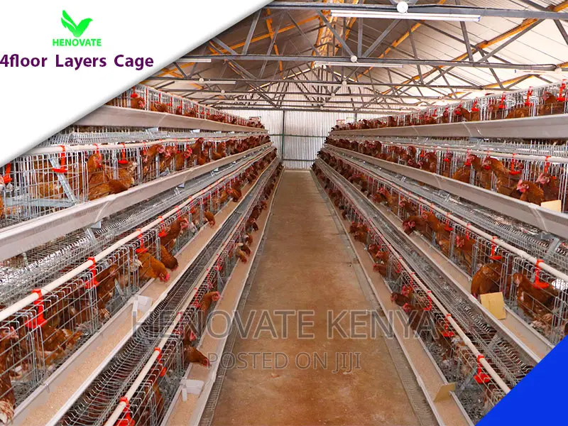 128 Birds Chicken Layers Cage in Kenya(Ruiru).