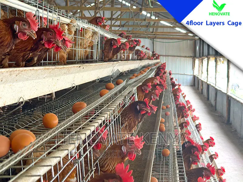4 Tiers 128 Birds Battery Layer Cage in Kenya