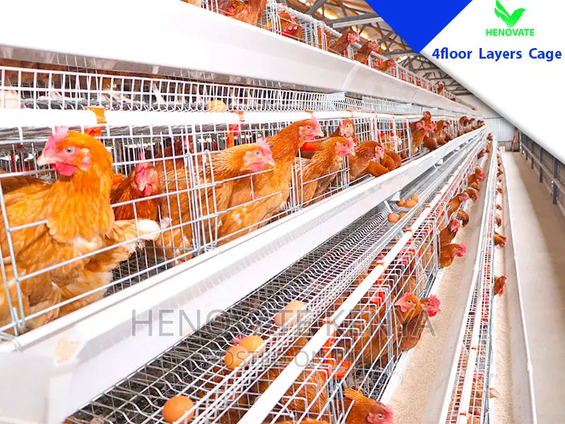 4 Tiers 128 Birds Battery Layer Cage in Kenya