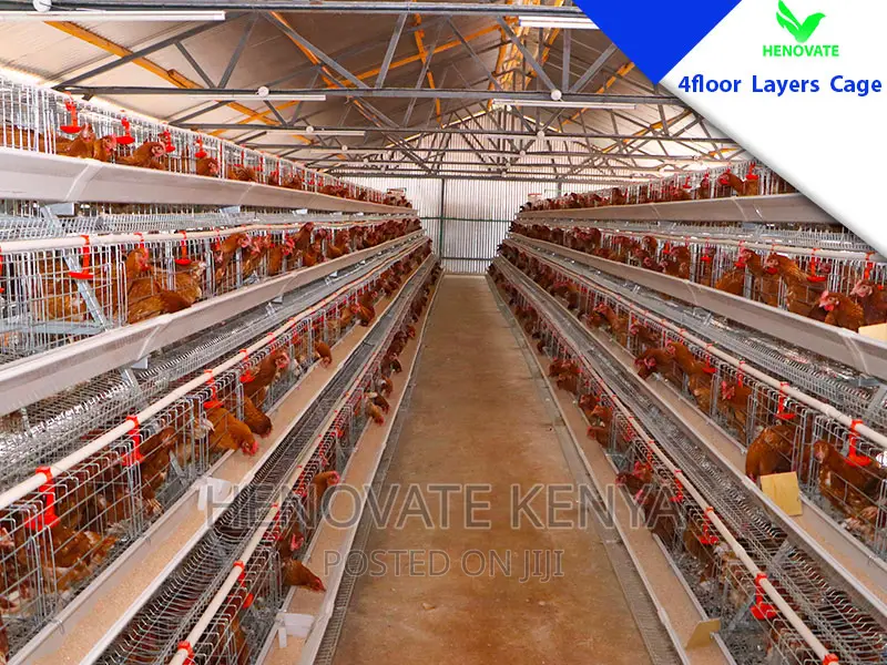 4 Tiers 128 Birds Battery Layer Cage in Kenya