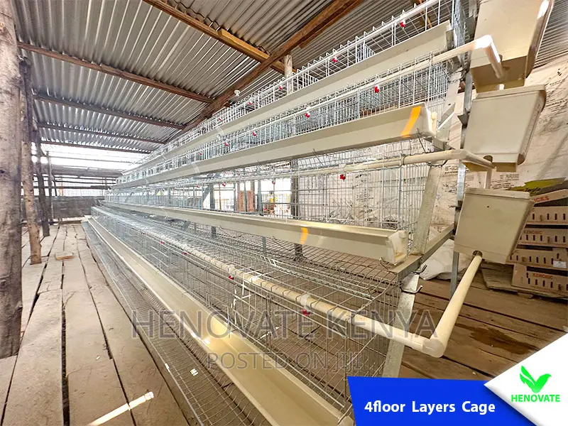 4floor Chicken Layers Cage/128 Birds in Kenya