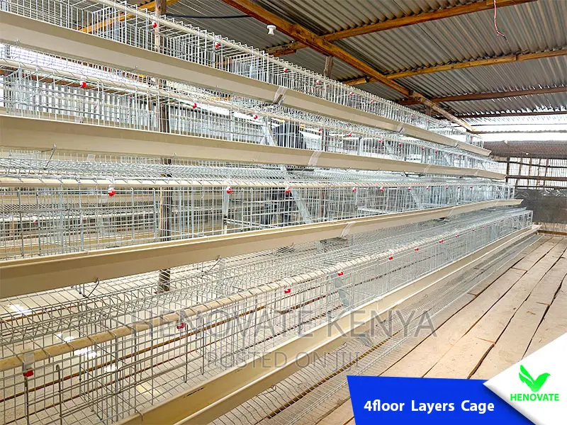 4floor Chicken Layers Cage/128 Birds in Kenya