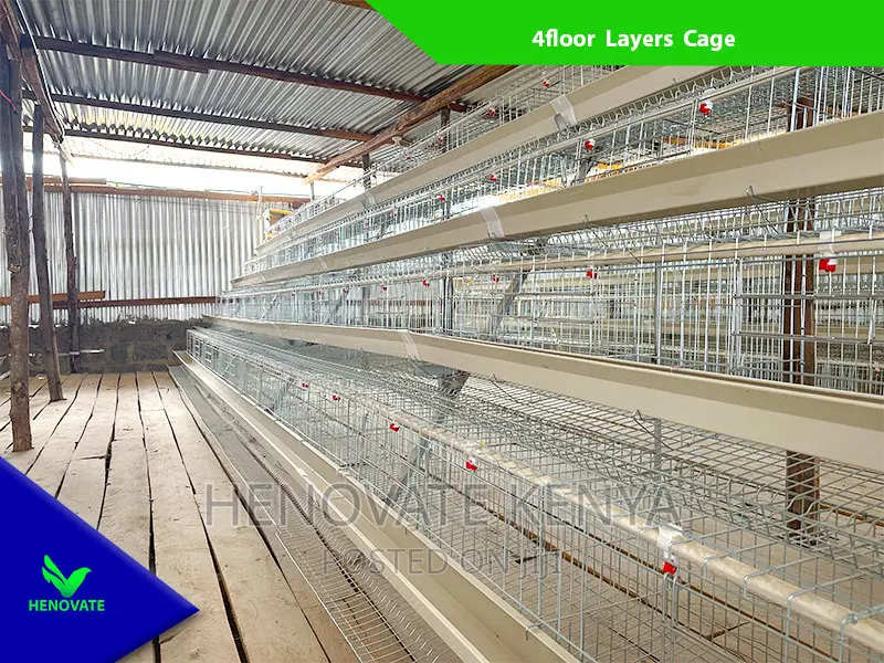Chicken Layers Cage in Kenya /128 Birds