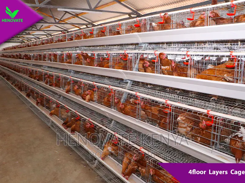 4floor Chicken Layers Cage/128 Birds Saves Space