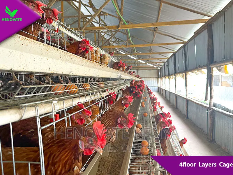 4floor Chicken Layers Cage/128 Birds Saves Space