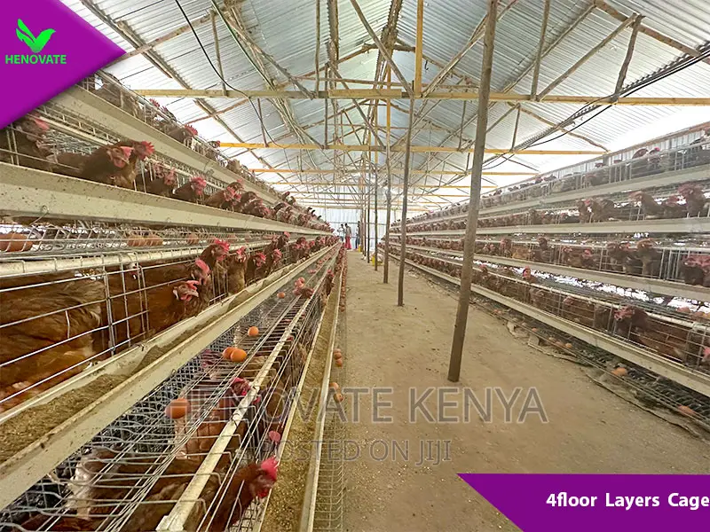 4floor Chicken Layers Cage/128 Birds Saves Space