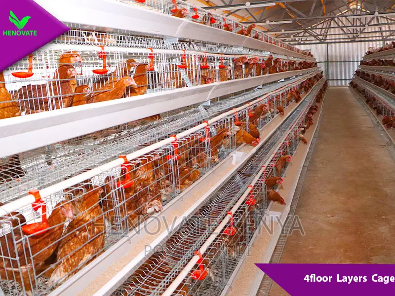 4floor Chicken Layers Cage/128 Birds Saves Space