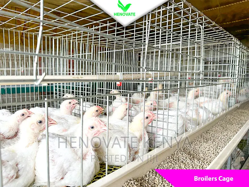 Best Broiler Cage(Try This Today)Saves Space