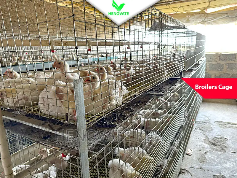 Broiler Cage With Best Price Ever.Saves Space.