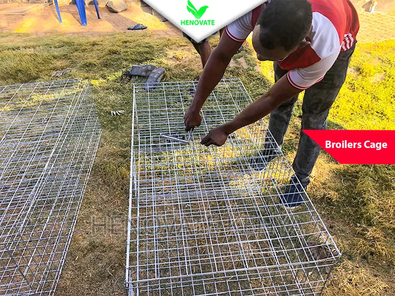 Broiler Cage With Best Price Ever.Saves Space.