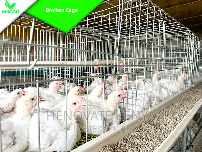 Reliance Poultry BROILER Cages in Kenya With Quality Feeders