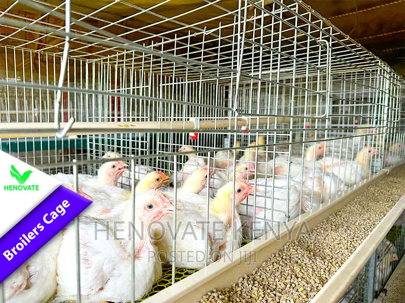 Poultry BROILER Cages(Saves Space) in Ruiru