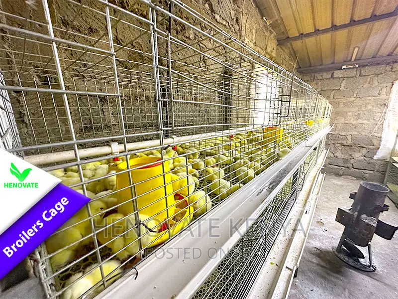 Poultry BROILER Cages(Saves Space) in Ruiru
