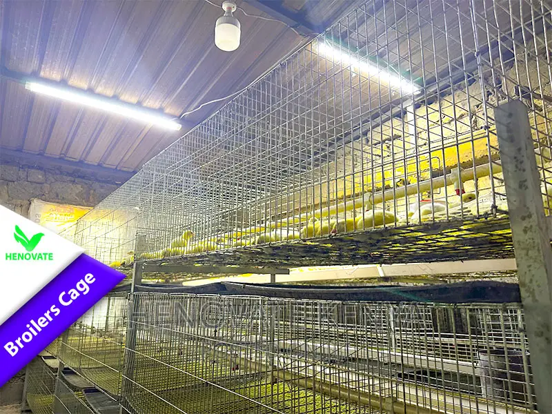 Poultry BROILER Cages(Saves Space) in Ruiru