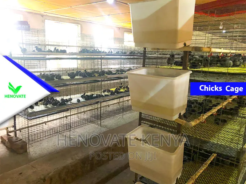 Baby Chick Battery Cage