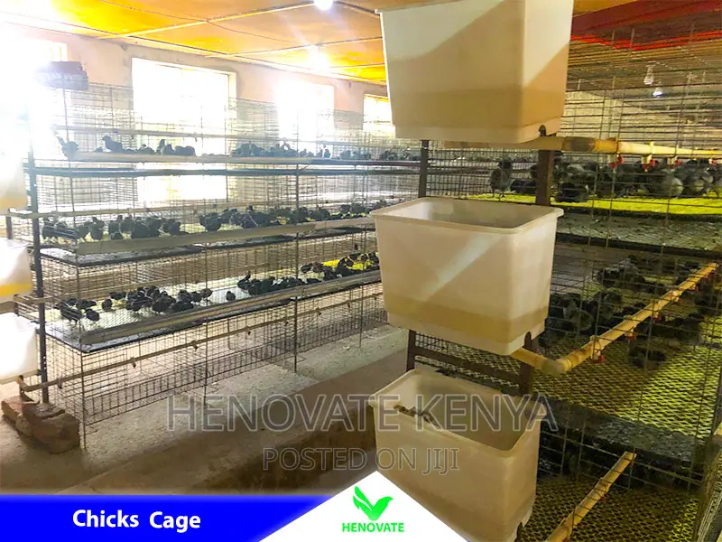 Cheap and Easy Battery Cage System in Kenya