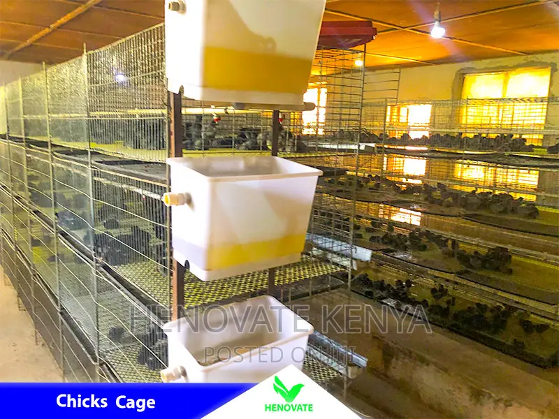 Cheap and Easy Battery Cage System in Kenya
