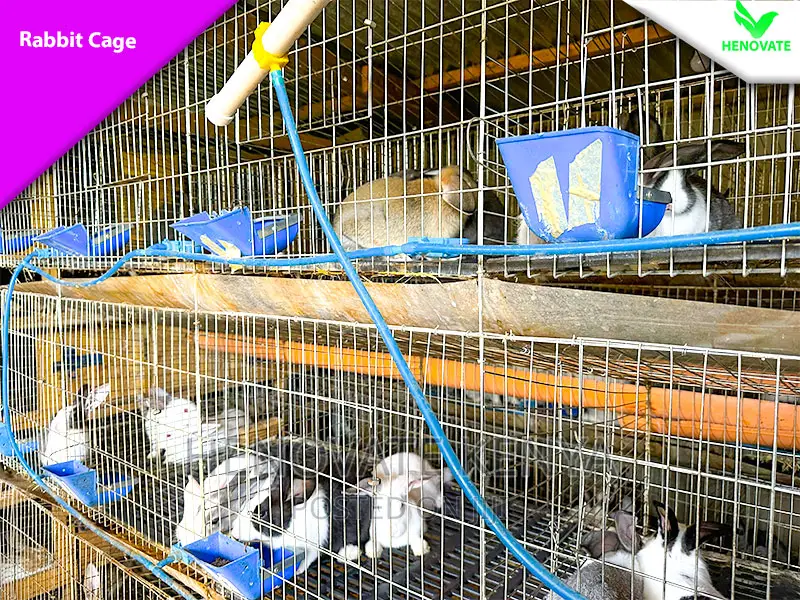Rabbit Cages in Kenya Now Availble