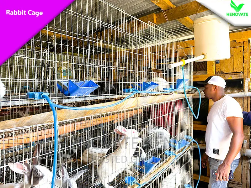 Rabbit Cages in Kenya Now Availble