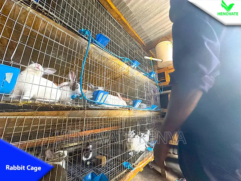 Rabbit Cages With Feeders Drinkers in Kenya With One Year Wa