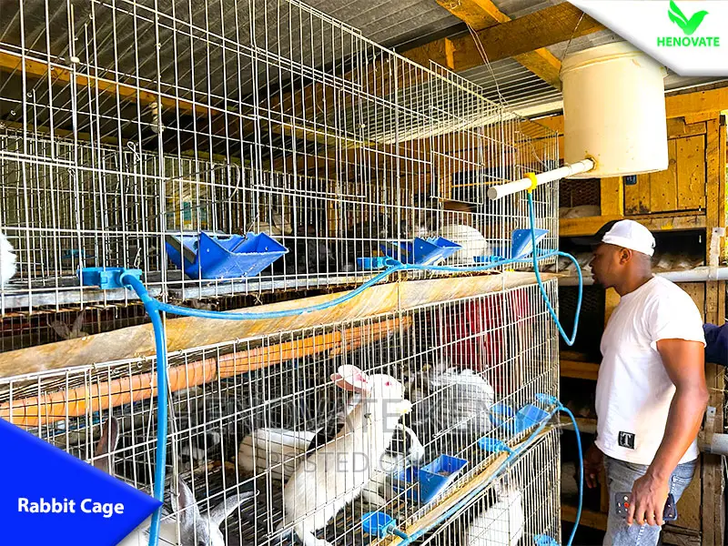 Rabbit Cages With Feeders Drinkers in Kenya With One Year Wa