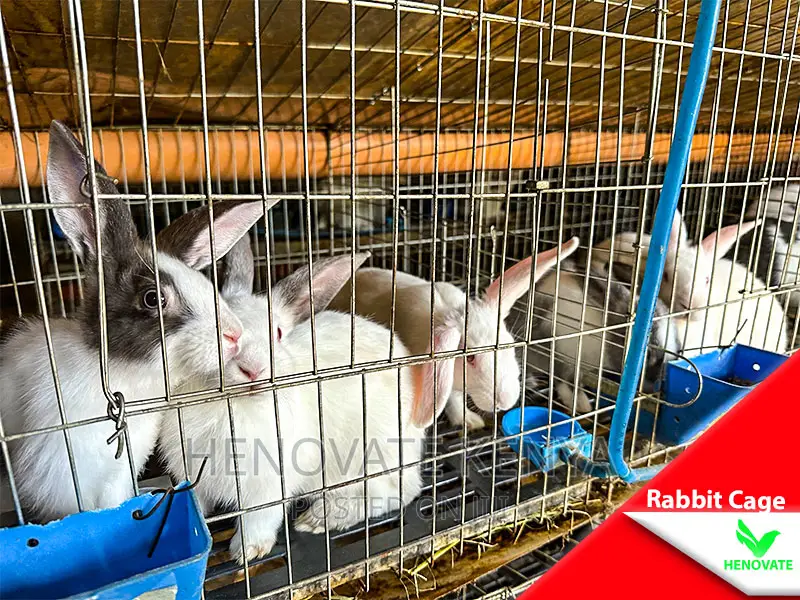 Galvanized Wire Breeding Rabbit Cage