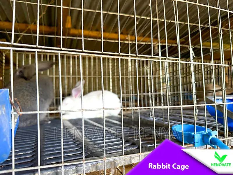 Easy Clean Rabbit Cage In Kenya(Saves Space)Available