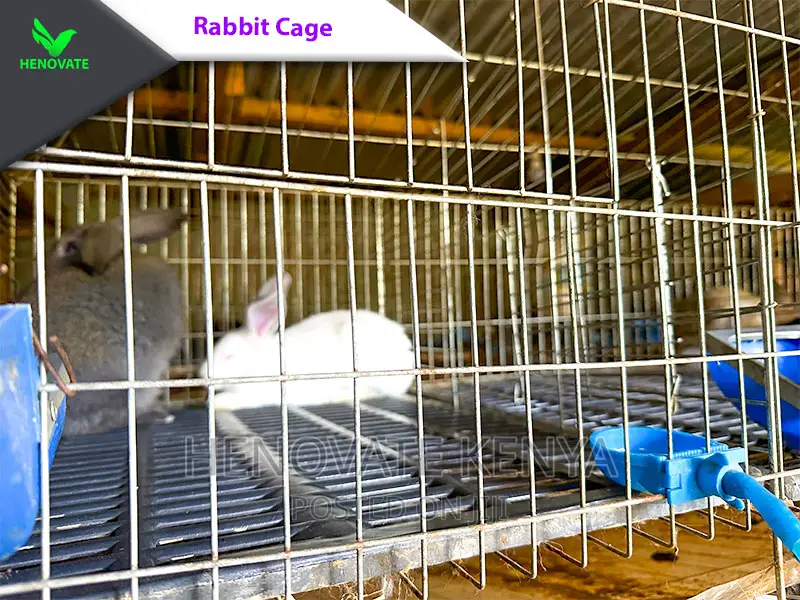 Easy Clean Rabbit Cage In Kenya(Saves Space)Available