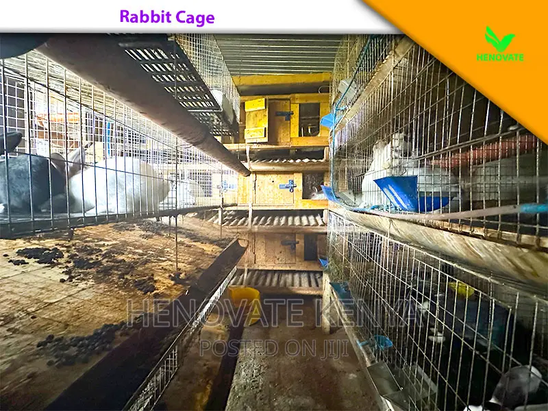 Rabbit Farming Cages