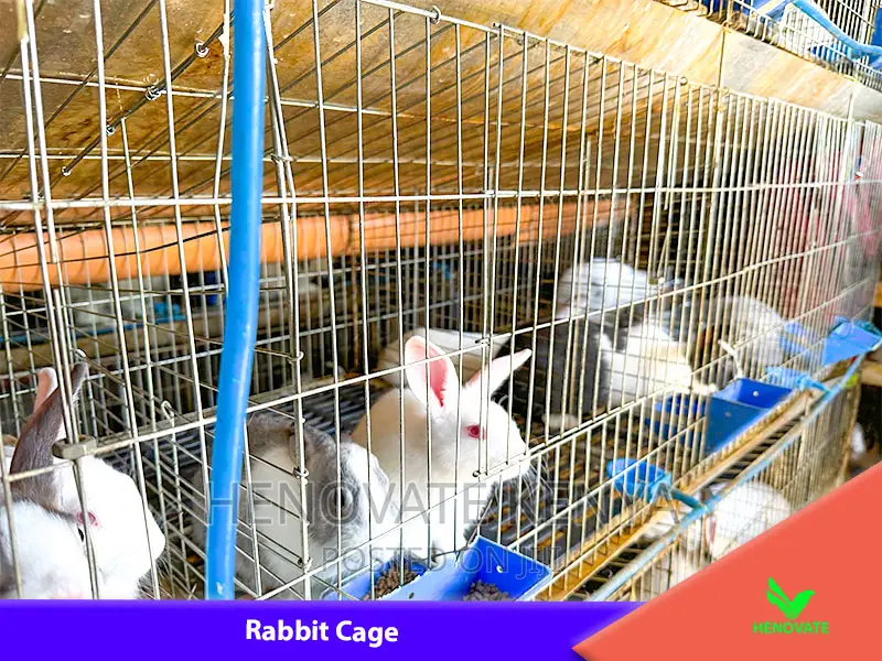Rabbit (Cage in Kenya Farm.)Brand New